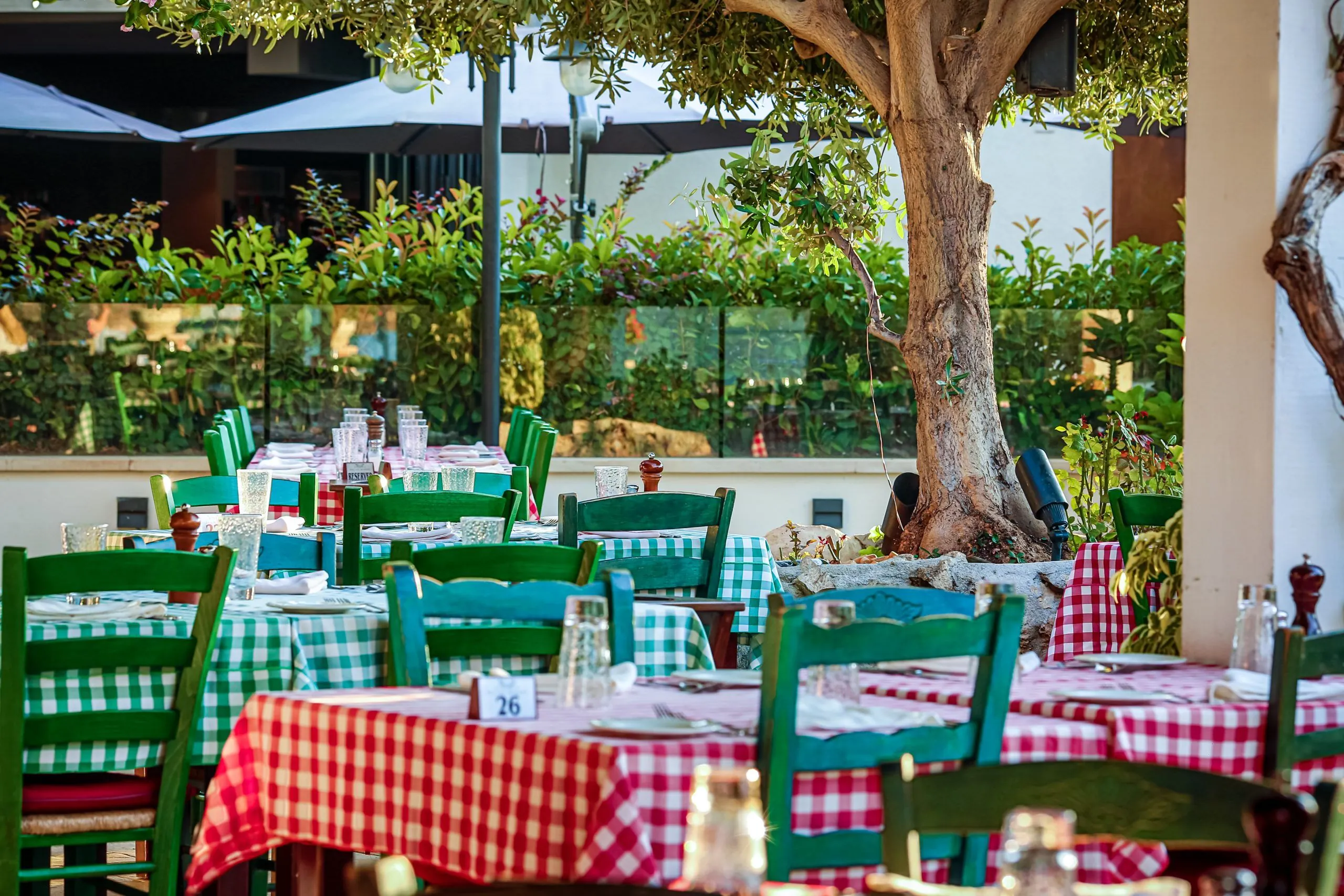 Trattoria La Vigna Summertime cafe with outdoor seating and greenery