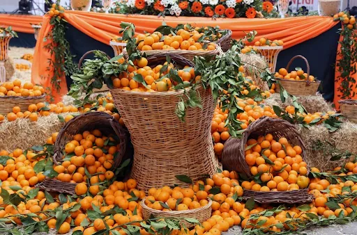 Spring Festivals in Cyprus 2026