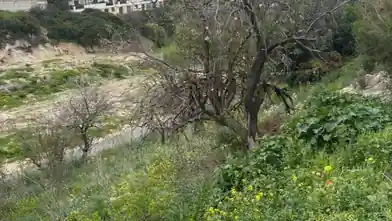 Οικιστικό οικόπεδο προς πώληση, Πάφος, Pegeia