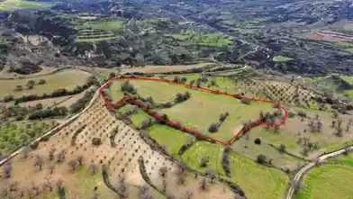 Agriculture Plot for sale, Paphos, Drymou