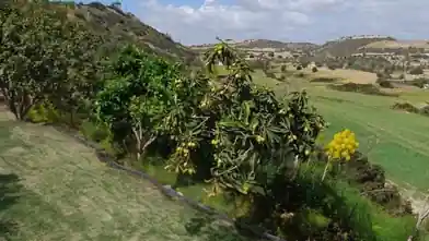 Detached House for sale, Larnaca, Alaminos