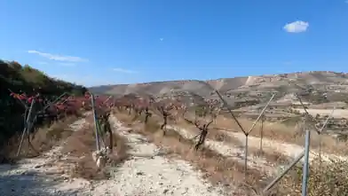 Agriculture Plot for sale, Limassol, Agios Amvrosios