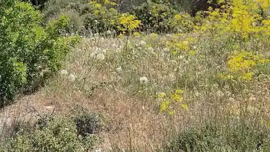 Residential Plot for sale, Limassol, Agios Therapon