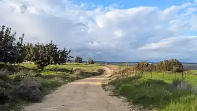 Agriculture Plot for sale, Limassol, Avdimou