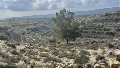 Agriculture Plot for sale, Limassol, Lofou