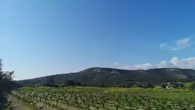Agriculture Plot for sale, Limassol, Platanisteia