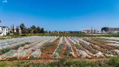 Commercial Plot for sale, Famagusta, Paralimni, Dimos Paralimniou-Deryneias