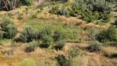Residential Plot for sale, Limassol, Arakapas