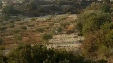 Residential Plot for sale, Limassol, Fasoula