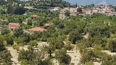 Działka rolna na sprzedaż, Dystrykt Limassol, Apesia