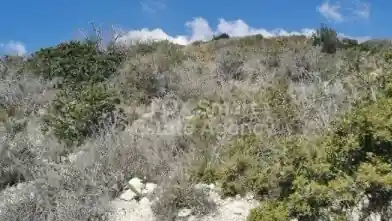 Agriculture Plot for sale, Limassol, Pyrgos