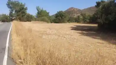 Agriculture Plot for sale, Larnaca, Mosfiloti