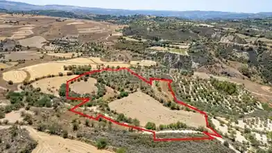 Agriculture Plot for sale, Paphos, Thrinia