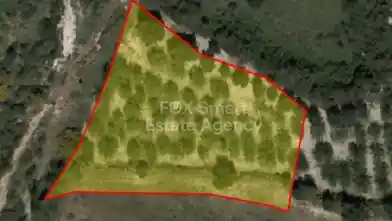 Działka rolna na sprzedaż, Dystrykt Pafos, Drusia, Dimos Polis Chrysochous
