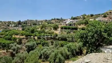 Agriculture Plot for sale, Limassol, Dierona