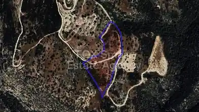 Agriculture Plot for sale, Paphos, Koili