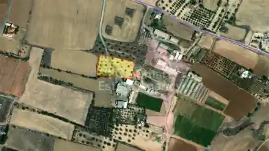 Agriculture Plot for sale, Nicosia, Psimolofou