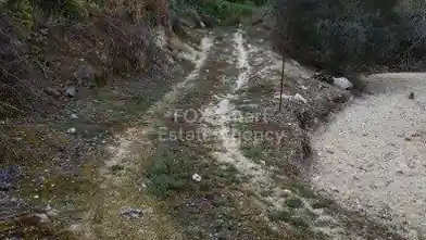 Działka rolna na sprzedaż, Dystrykt Pafos, Letimwu
