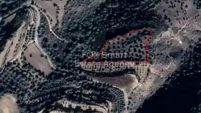 Agriculture Plot for sale, Paphos, Loukrounou
