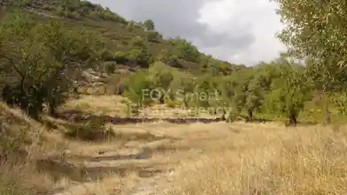 Residential Plot for sale, Limassol, Pera Pedi