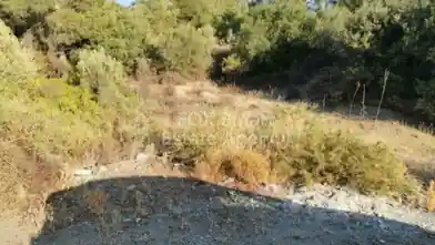 Agriculture Plot for sale, Limassol, Pyrgos