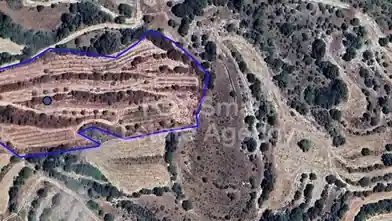 Agriculture Plot for sale, Paphos, Amargeti
