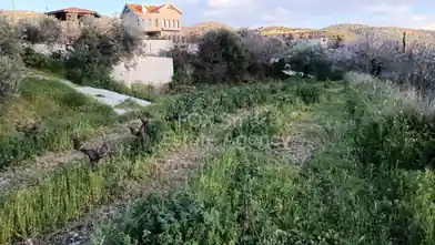Agriculture Plot for sale, Limassol, Dhoros