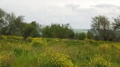 Działka mieszkaniowa na sprzedaż, Dystrykt Pafos, Lasa