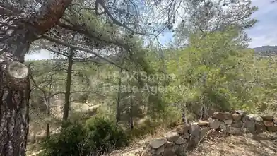 Agriculture Plot for sale, Limassol, Foinikaria, Dimos Amathountas
