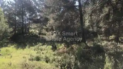 Agriculture Plot for sale, Limassol, Pera Pedi