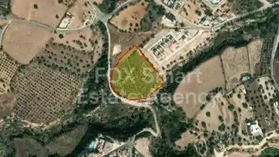 Agriculture Plot for sale, Paphos, Tala