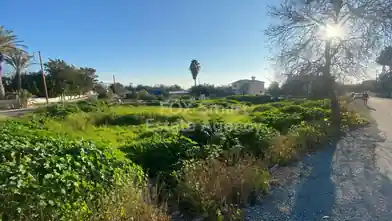 Agriculture Plot for sale, Paphos, Chlorakas