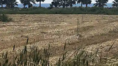 Agriculture Plot for sale, Famagusta, Sotira, Dimos Agias Napas