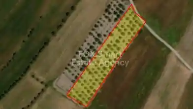 Działka rolna na sprzedaż, Dystrykt Pafos, Konia, Dimos Anatolikis Pafou