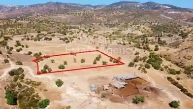 Działka rolna na sprzedaż, Dystrykt Pafos, Peja, Dimos Akama