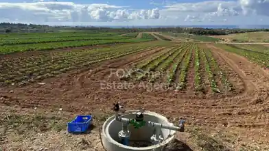 Agriculture Plot for sale, Paphos, Anarita