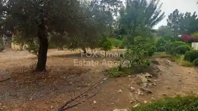 Agriculture Plot for sale, Paphos, Kouklia