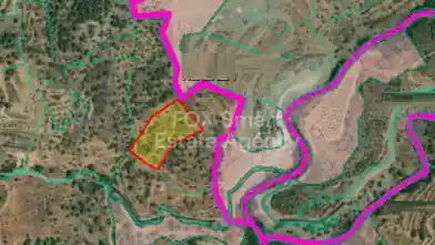 Agriculture Plot for sale, Limassol, Agios Mamas