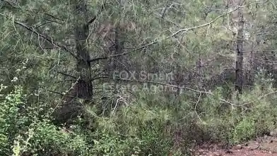 Agriculture Plot for sale, Limassol, Moniatis