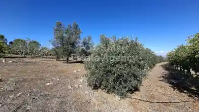 Działka rolna na sprzedaż, Dystrykt Nikozja, Agios Ioannis
