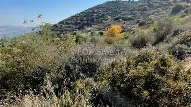 Działka rolna na sprzedaż, Dystrykt Limassol, Matikoloni, Dimos Amathountas