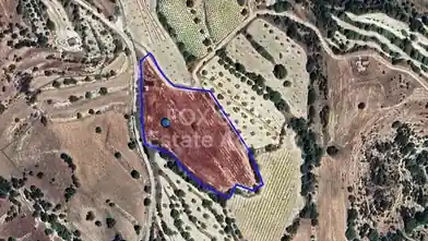 Agriculture Plot for sale, Paphos, Kallepia