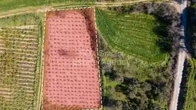 Działka rolna na sprzedaż, Dystrykt Pafos, Polemi
