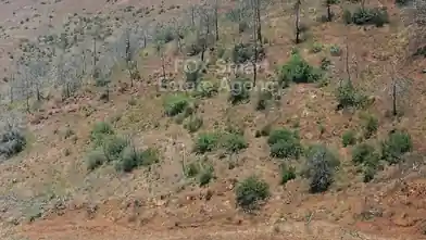 Agriculture Plot for sale, Limassol, Moni