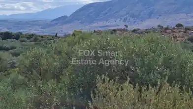Działka rolna na sprzedaż, Dystrykt Limassol, Akrotiri