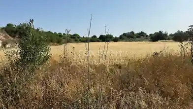 Residential Plot for sale, Paphos, Marathounta