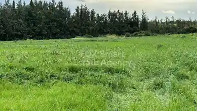 Բնակելի հողամաս վաճառքիՊաֆոսում, Նիկոկլեաում