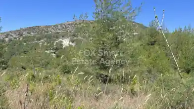 Agriculture Plot for sale, Limassol, Pera Pedi