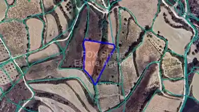 Agriculture Plot for sale, Paphos, Thrinia