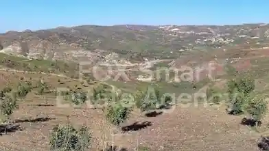 Agriculture Plot for sale, Paphos, Choletria